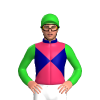 Navy Blue, Cerise Diablo, Lime Green Sleeves And Cap