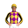 Purple With Gold Diamonds, Black And Gold Striped Sleeves With Gold Cap
