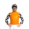 Orange, Black And White 113 Racing Logo, Checked Sleeves And Cap