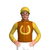 Brown, Gold Horseshoe, Sleeves And Cap