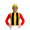 Gold, Black Stripes, Red Sleeves
