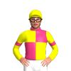 Pink And Yellow Quarters, Yellow Sleeves, Pink Armbands, Yellow Cap