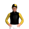 Black, Gold Sleeves, Quartered Cap