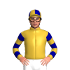 Gold, Dark Blue Hooped Sleeves, Quartered Cap