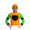 Orange, Black Shield, Lime Green Sleeves, Black Armbands And Cuffs, Orange Cap