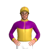 Gold, Purple Yoke And Sleeves With Gold Seams, Collar And Cuffs, Gold Cap, Purple Seams