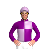 Lilac And Purple Quarters, Purple Collar And Sleeves With Lilac Seams, Purple Seamed Cap