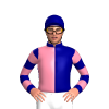 NAVY BLUE, PINK SHERBET HALVED VERTICAL, HOOPS SLEEVES