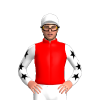 RED,WHITE SLEEVES,BLACK STARS SLEEVES,WHITE CAP