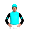 Aqua, Black Sleeves, Aqua Double Armbands