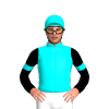 Aqua Blue, Black Sleeves With Aqua Blue Armbands