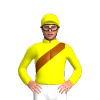 Yellow, Brown Sash