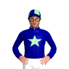 Dark Blue, Pale Green Star, Quartered Cap