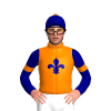Orange, Navy Blue Fleur De Lys And Sleeves, Orange Armbands, Navy Blue Cap, Orange Pom Pom