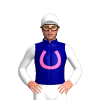 Navy Blue, Hot Pink Horseshoe, White Sleeves, White Cap, Hot Pink Horseshoes