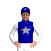 Dark Blue, Grey Star, White Sleeves, Dark Blue Cap With Grey Star