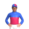 Royal Blue, Cerise Halves, Quartered Cap