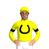 Yellow, Black Horseshoe, Black Armbands