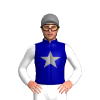 Dark Blue, Grey Star, White Sleeves, Grey Star Cap