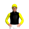 Black And Grey Diamonds, Yellow Sleeves And Cap
