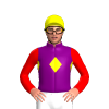 Purple, Yellow Diamond Band, Red Sleeves, Yellow Cap