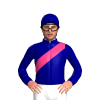 Navy Blue, Pink Sash
