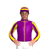 Purple, Yellow Seams, Tracey Bartley Racing Logo, Yellow Striped Sleeves, Hooped Cap