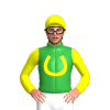 Green, Yellow Horseshoe, Sleeves And Cap