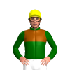 Dark Green And Brown Halves, Yellow Cap