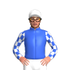 Royal Blue, White Panel, Checkered Sleeves, White Cap