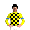 YELLOW, BLACK CHECKS, YELLOW SLEEVES, BLUE ARMBANDS, Black cap