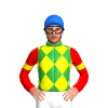 GREEN, YELLOW DIAMOND CHECK, RED SLEEVES, YELLOW ARMBAND, Blue cap