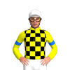 YELLOW, BLACK CHECKS, YELLOW SLEEVES, BLUE ARMBANDS, White cap