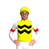YELLOW, BLACK TWO ZIGZAG CHEVRON, WHITE SLEEVES, RED ARMBAND, Yellow cap