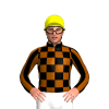 BLACK, BROWN CHECKS, STRIPES SLEEVES, Yellow cap