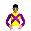YELLOW, PURPLE CROSSED SASHES, SLEEVES, Black cap