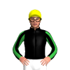 BLACK, GREEN FIVE STARS, STRIPED SLEEVES, Yellow cap