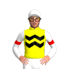YELLOW, BLACK TWO ZIGZAG CHEVRON, WHITE SLEEVES, RED ARMBAND, White cap