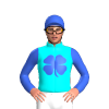 Jockey Silk