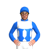 Jockey Silk