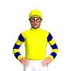 Jockey Silk