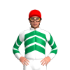 Jockey Silk