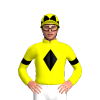 Jockey Silk
