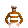 Jockey Silk