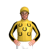 Jockey Silk