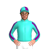 Jockey Silk