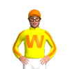 Jockey Silk