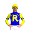 Jockey Silk