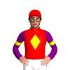 Jockey Silk