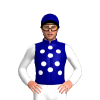Jockey Silk